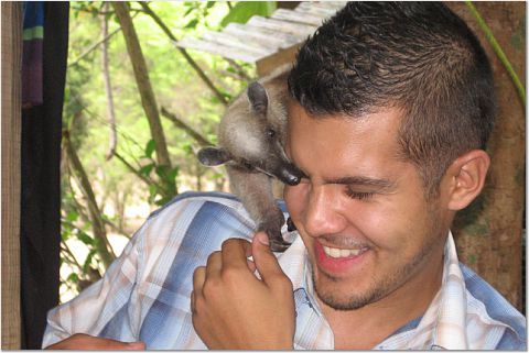Close Encounter with Ant Eater